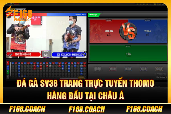 Đá Gà Sv38 - Trang Trực Tuyến Thomo Hàng Đầu Tại Châu Á