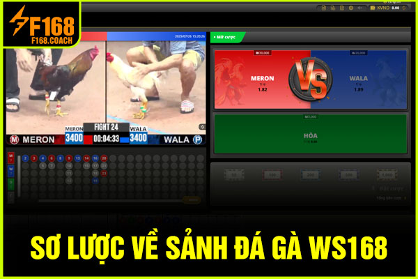 Sơ lược về sảnh đá gà WS168 Sơ lược về sảnh đá gà WS168